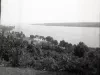 Negative, Film