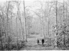 Photograph, Cabinet
