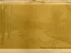 Photograph, Cabinet