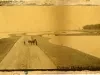 Photograph, Cabinet