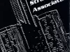 Brochure - Renaissance People
Strata Associates