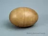 Toy