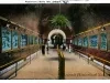 Postcard - Aquarium, Belle Isle, Detroit, Mich.