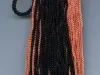 Tassel, Academic
