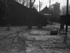 Negative, Roll Film