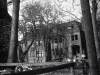 Negative, Roll Film
