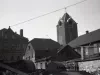 Negative, Roll Film
