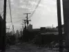 Negative, Roll Film