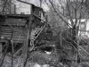 Negative, Roll Film