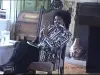 File, Digital Video - Rita Dove Informal Session