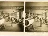Stereoview