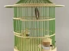 Birdcage
