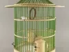 Birdcage