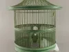 Birdcage