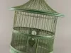 Birdcage