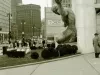 Negative, Roll Film