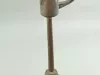 Lamp, Lard